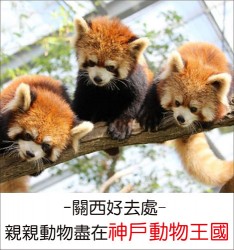 關西好去處:  親親動物盡在神戶動物王國